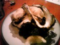 20100528�䲴��